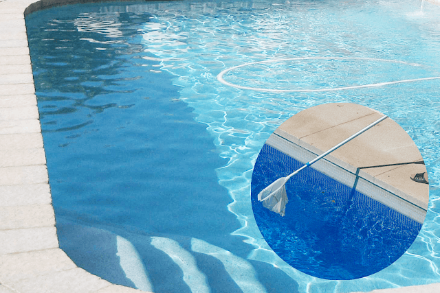 The 7 Most Essential Pool Supplies